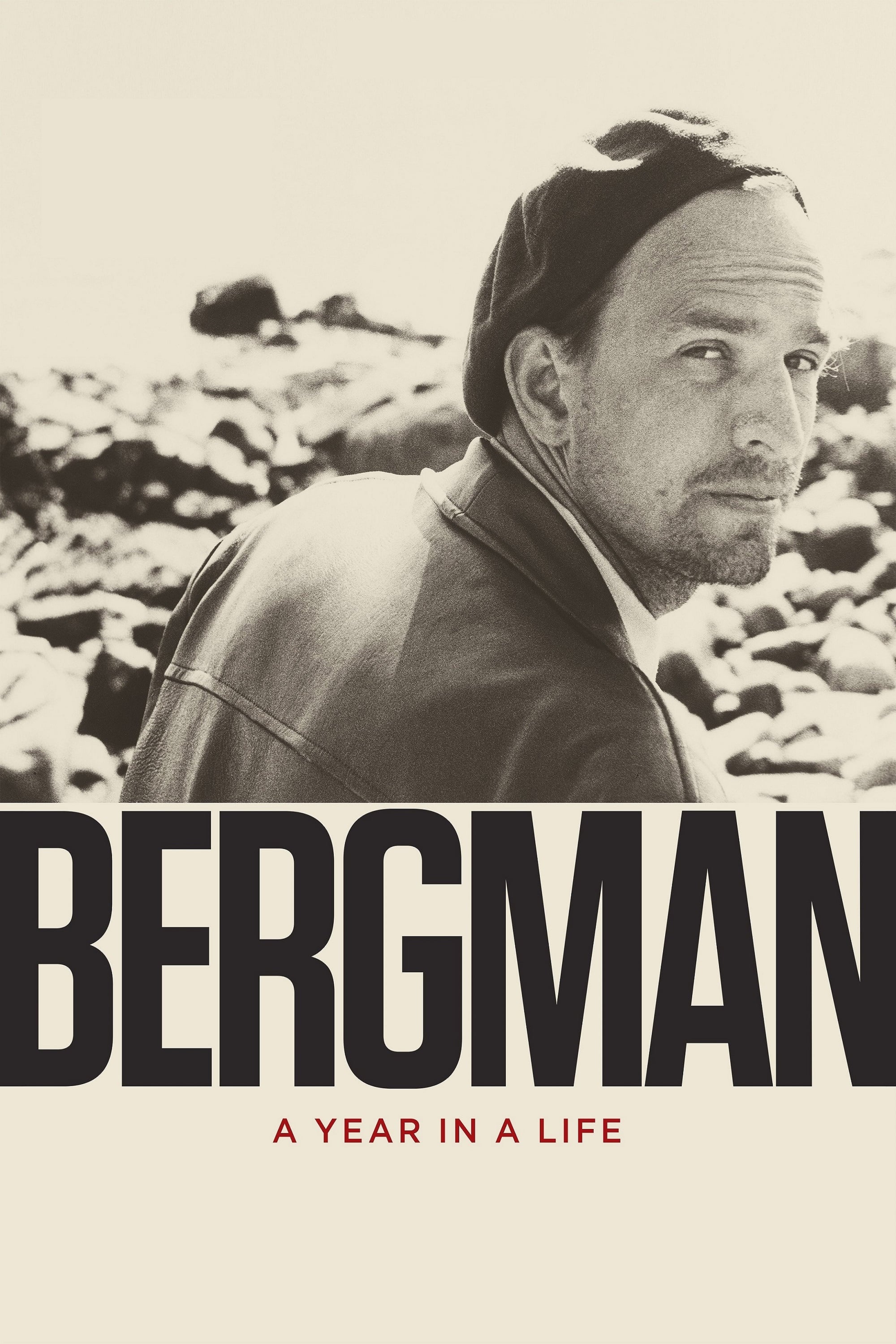 Bergman: A Year in a Life Full Movie