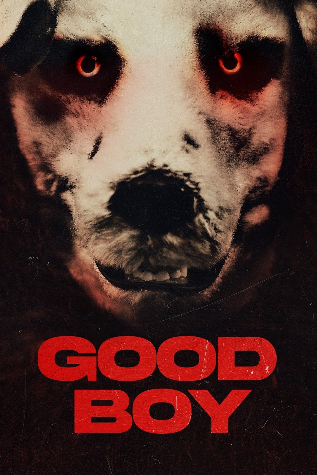 Good Boy Full Movie