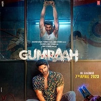 Gumraah (2023) Hindi Full Movie Watch Online HD Print