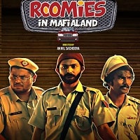 Roomies (2021) Hindi Season 3 Complete Watch Online HD Print