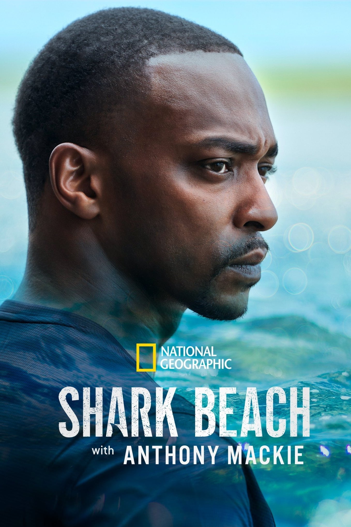 Shark Beach with Anthony Mackie Full Movie